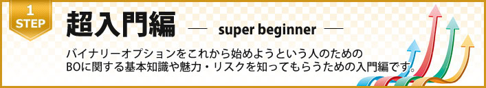 バイナリーオプションをこれから始めようという人のためのBOに関する基本知識や魅力・リスクを知ってもらうための入門編です。 バイナリーオプション入門編