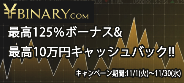 ybinary-campaign11